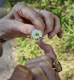 Kukka kämmenellä, lempeä hoiva