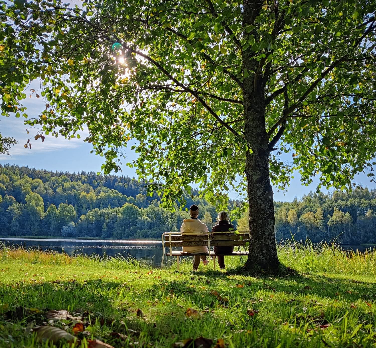 Parempaa Oloa Päivään hoivapalvelut