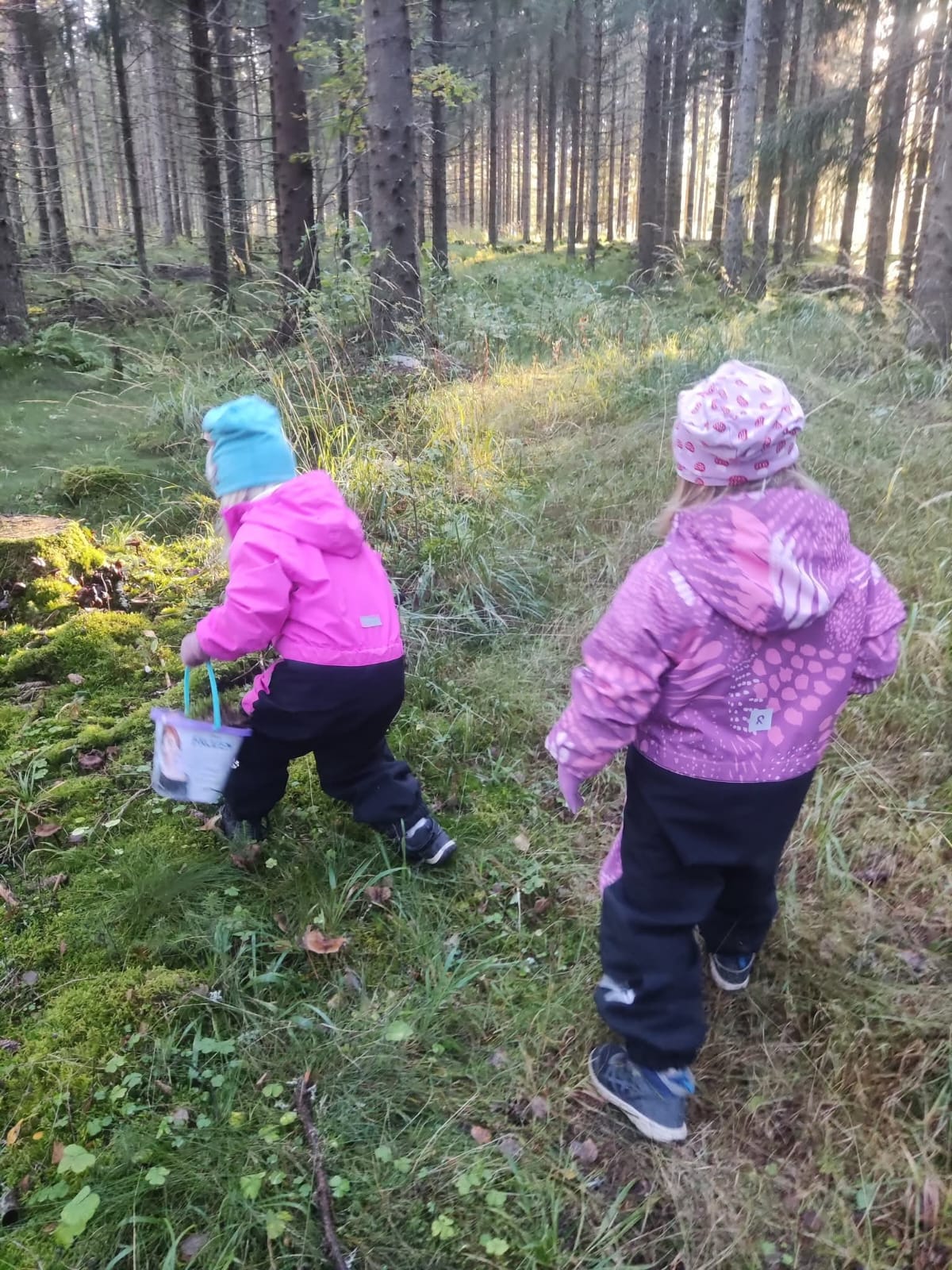 Parempaa Oloa Päivään JKL Oy hoivapalvelut
